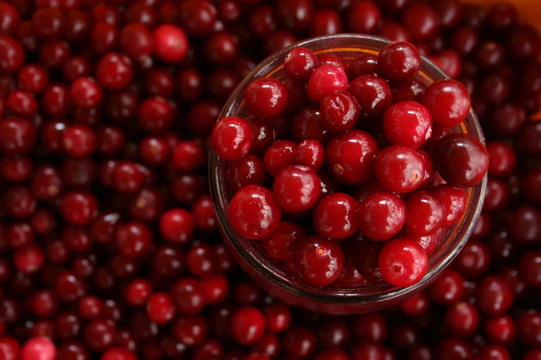 Fruit iqf